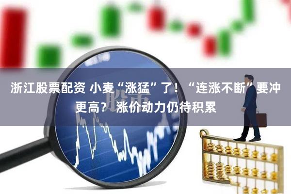 浙江股票配资 小麦“涨猛”了！“连涨不断”要冲更高？ 涨价动力仍待积累