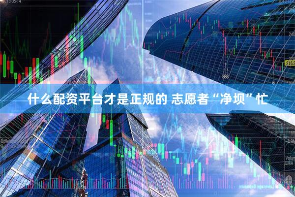 什么配资平台才是正规的 志愿者“净坝”忙