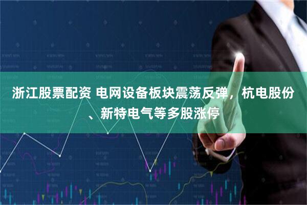 浙江股票配资 电网设备板块震荡反弹，杭电股份、新特电气等多股涨停