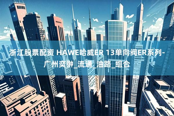 浙江股票配资 HAWE哈威ER 13单向阀ER系列-广州奕翀_流通_油路_组合