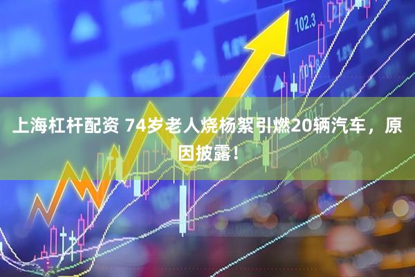 上海杠杆配资 74岁老人烧杨絮引燃20辆汽车，原因披露！